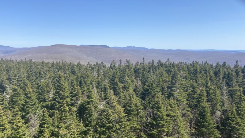 Dry Brook Ridge Trailhead - Margaretville, NY