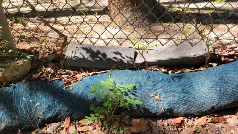 Wildwood Dog Park - Marietta, GA