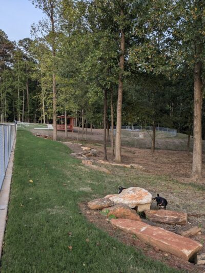 Wildwood Dog Park - Marietta, GA