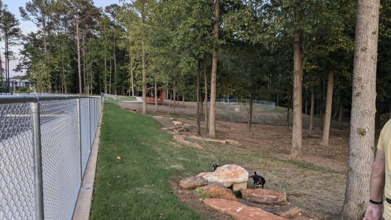 Wildwood Dog Park - Marietta, GA