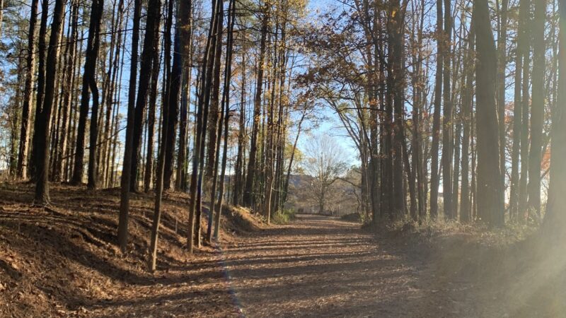 Wildwood Park - Marietta, GA