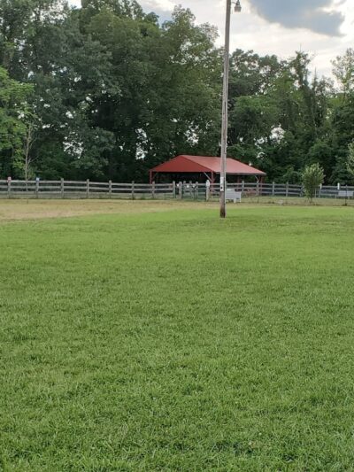 Jackson Hill Dog Park - Marietta, OH