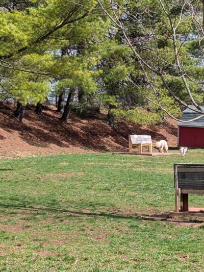 Jackson Hill Dog Park - Marietta, OH
