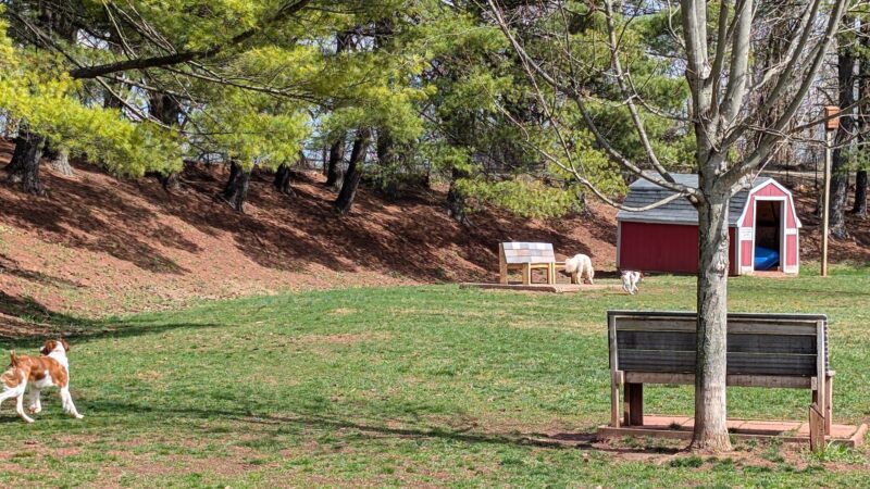Jackson Hill Dog Park - Marietta, OH