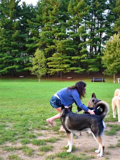 Jackson Hill Dog Park - Marietta, OH