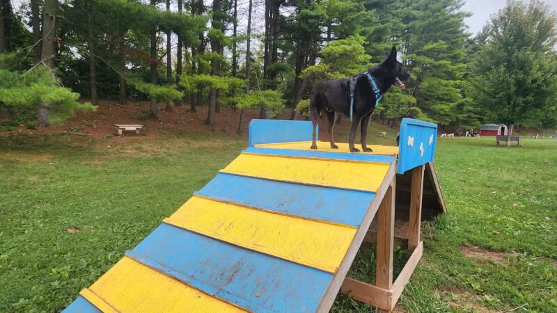 Jackson Hill Dog Park - Marietta, OH