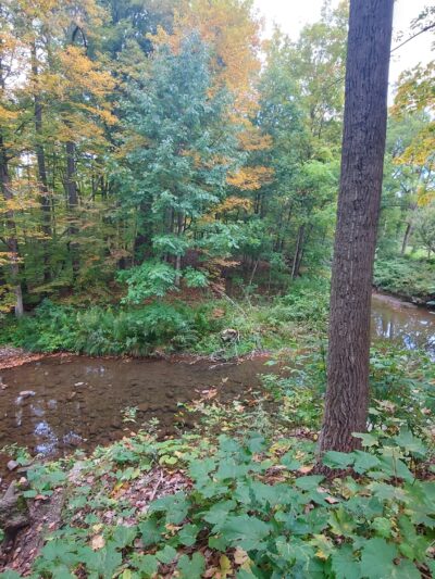 Marilla Park - Marilla, NY