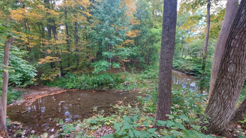 Marilla Park - Marilla, NY