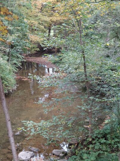 Marilla Park - Marilla, NY