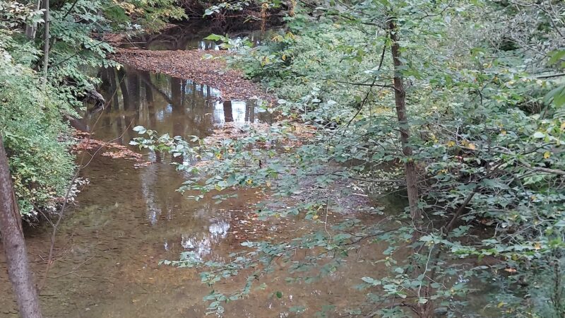 Marilla Park - Marilla, NY