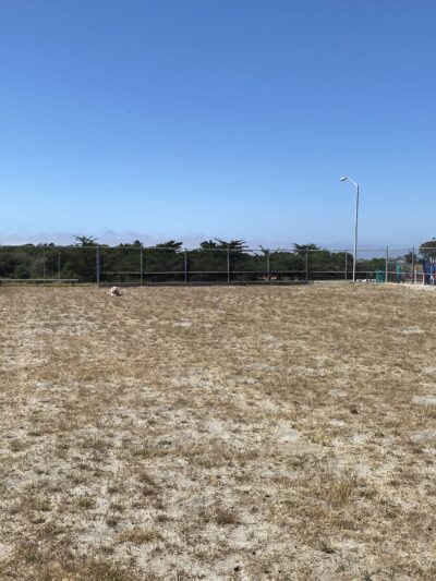 Dog Park - Marina, CA