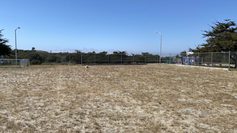 Dog Park - Marina, CA