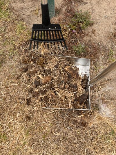 Dog Park - Marina, CA