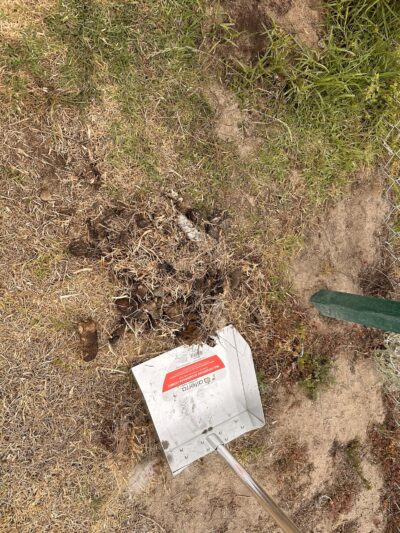 Dog Park - Marina, CA