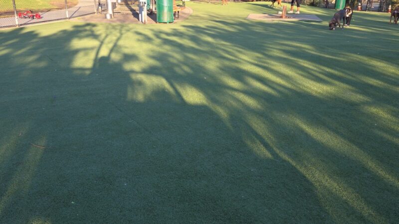 Bill Rosendahl Del Rey Park - Marina Del Rey, CA