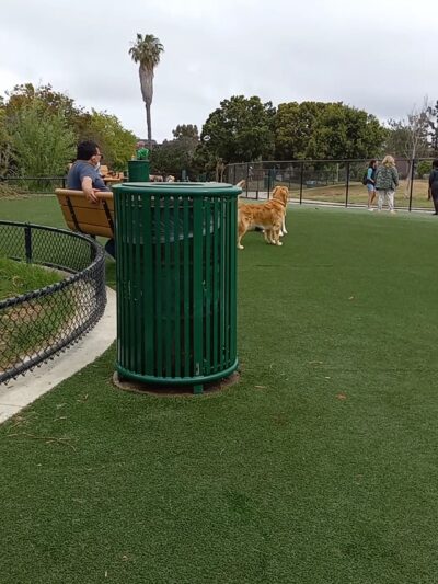Glen Alla Dog Park - Marina Del Rey, CA