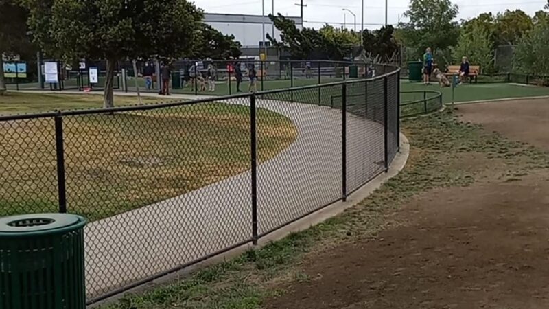 Glen Alla Dog Park - Marina Del Rey, CA