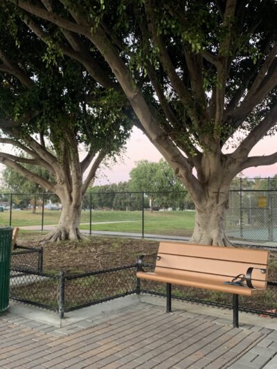 Glen Alla Dog Park - Marina Del Rey, CA