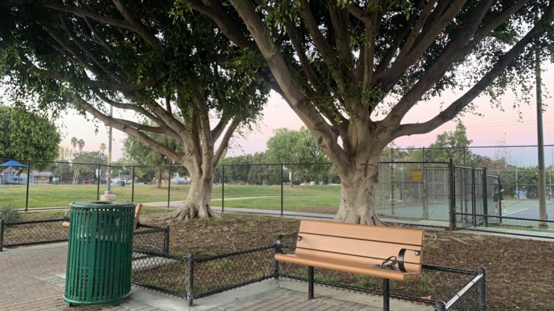 Glen Alla Dog Park - Marina Del Rey, CA