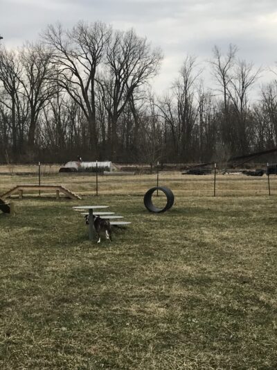 Pawadise Park - Marion, IN