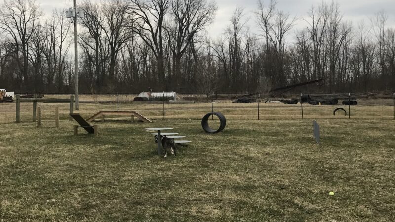 Pawadise Park - Marion, IN