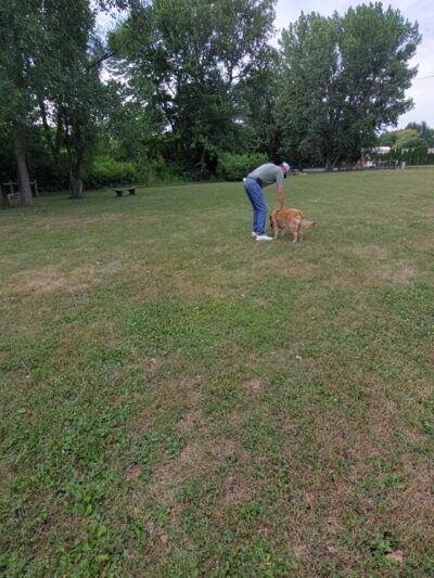 Pawadise Park - Marion, IN