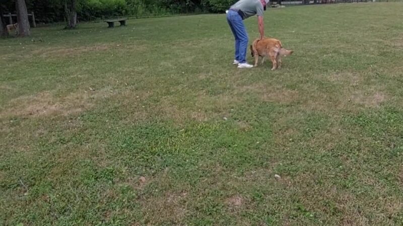 Pawadise Park - Marion, IN