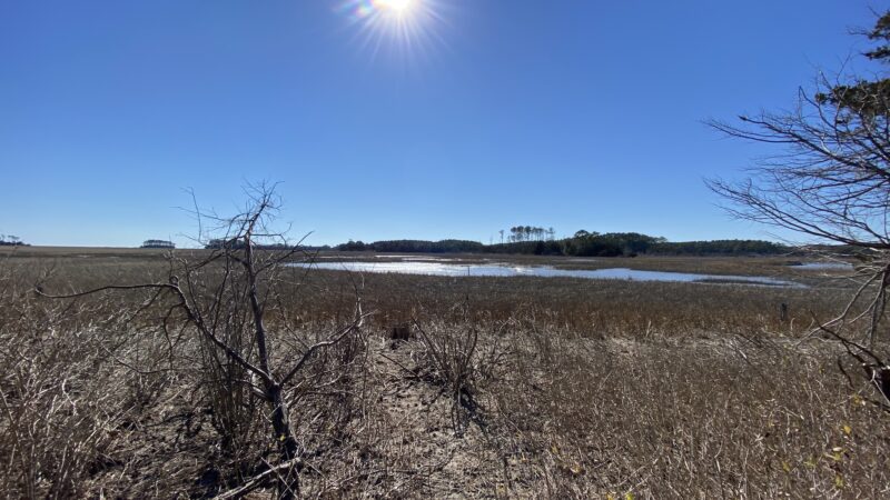 William B. Cummings Birding And Wildlife Trail - Marionville, VA