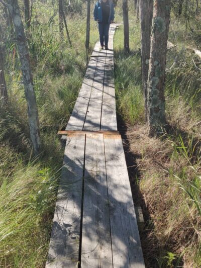 William B. Cummings Birding And Wildlife Trail - Marionville, VA