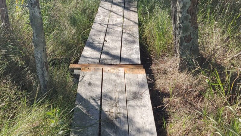 William B. Cummings Birding And Wildlife Trail - Marionville, VA