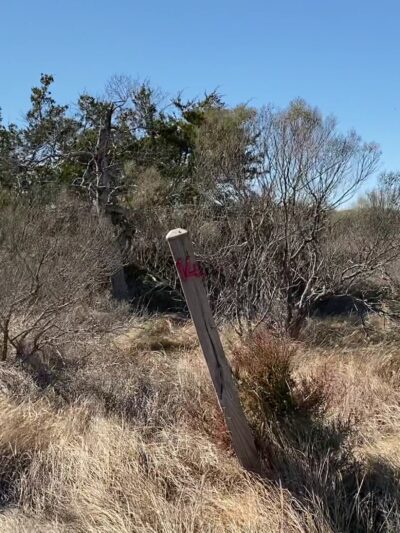 William B. Cummings Birding And Wildlife Trail - Marionville, VA