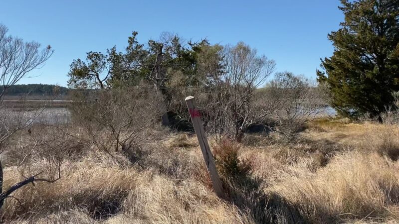William B. Cummings Birding And Wildlife Trail - Marionville, VA