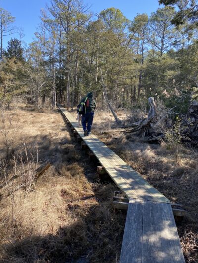 William B. Cummings Birding And Wildlife Trail - Marionville, VA