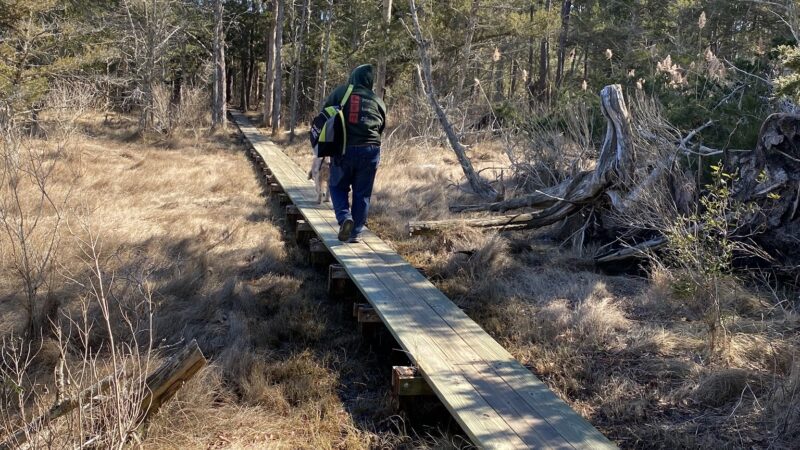 William B. Cummings Birding And Wildlife Trail - Marionville, VA