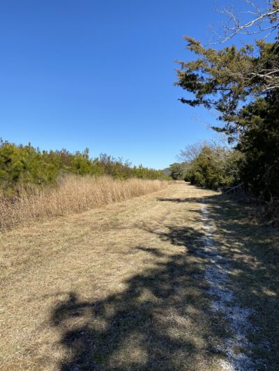William B. Cummings Birding And Wildlife Trail - Marionville, VA
