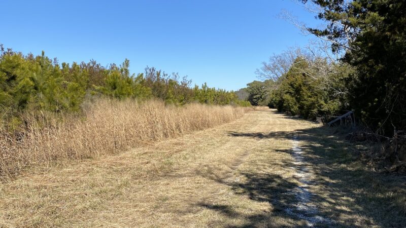 William B. Cummings Birding And Wildlife Trail - Marionville, VA