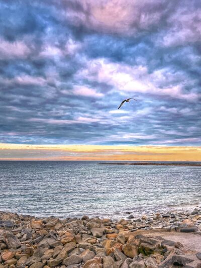 Brant Rock Beach - Marshfield, MA