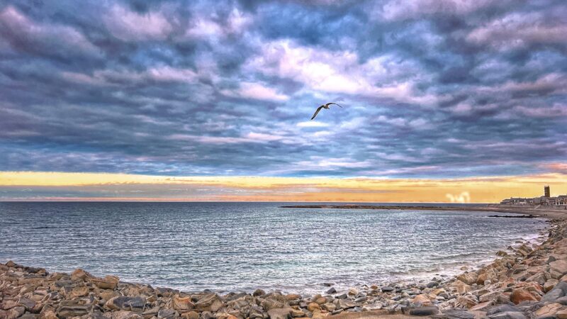 Brant Rock Beach - Marshfield, MA