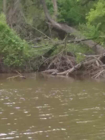 McLennan Park - Mart, TX