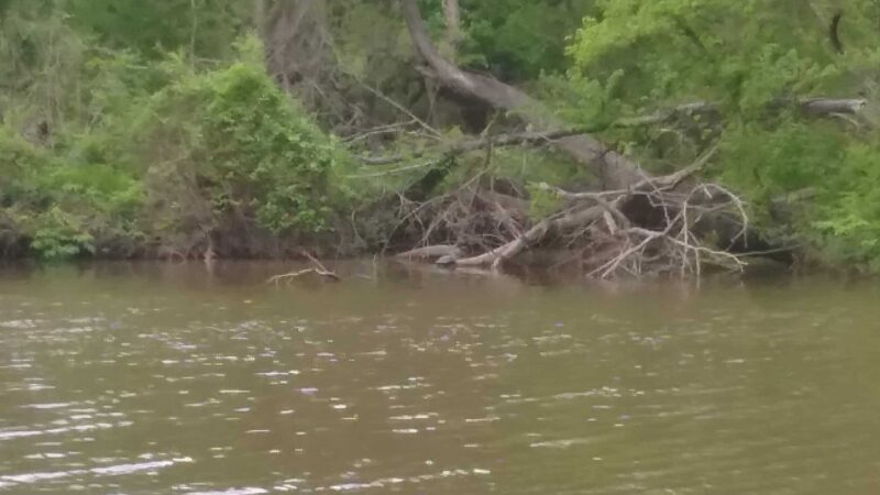 McLennan Park - Mart, TX