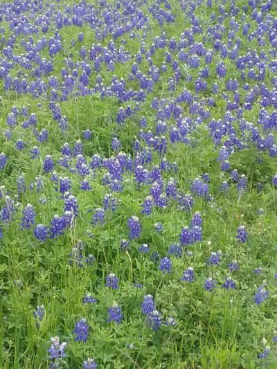 McLennan Park - Mart, TX