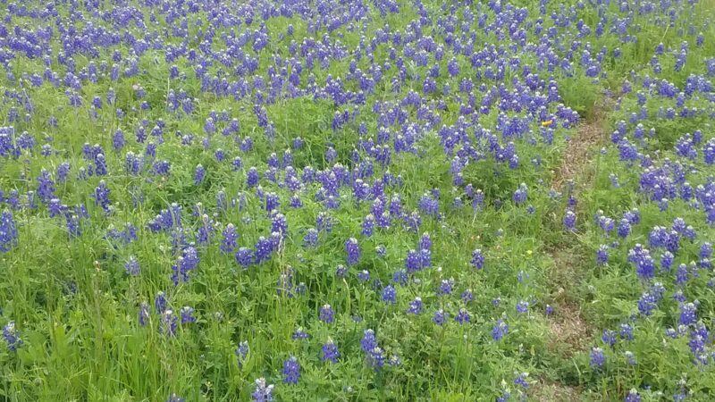 McLennan Park - Mart, TX