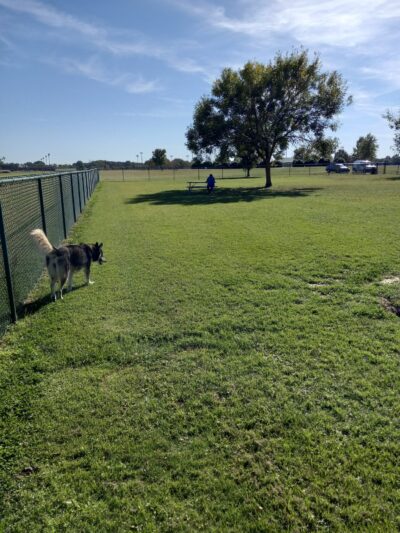 City of Martin Dog Park - Martin, TN