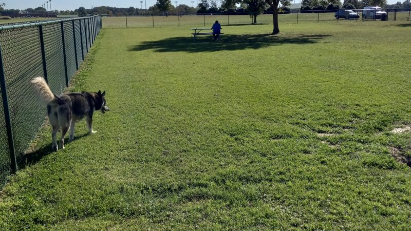 City of Martin Dog Park - Martin, TN