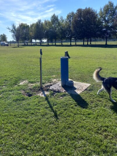 City of Martin Dog Park - Martin, TN
