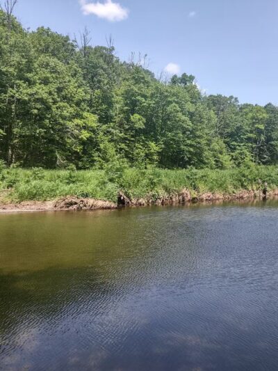 Chimney Rock Park Hawk Watch Trailhead - Martinsville, NJ