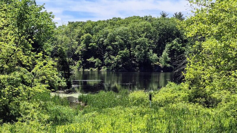 Washington Valley Park - PARKING - Martinsville, NJ
