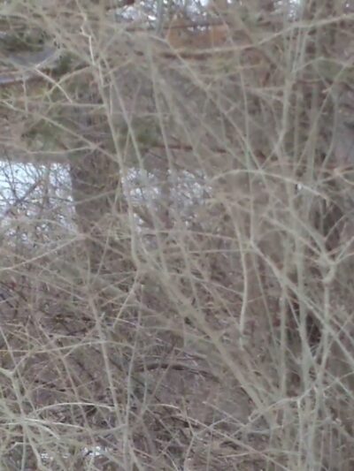 Washington Valley Park - PARKING - Martinsville, NJ