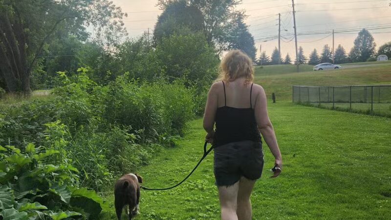 Dog park - Massillon, OH