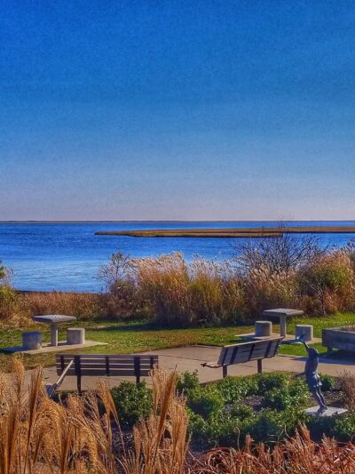 Osprey Park - Mastic Beach, NY